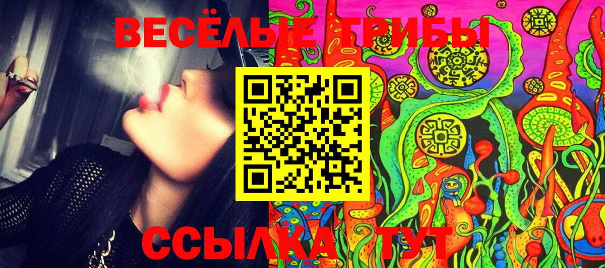 Галлюциногенные грибы Psilocybe Хасавюрт