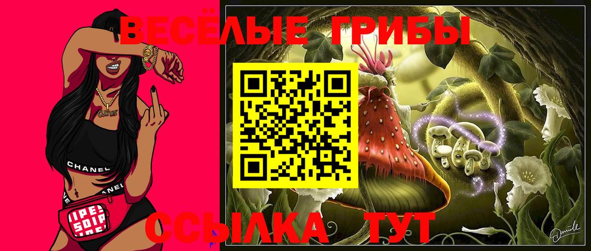 Псилоцибиновые грибы мицелий  Вход с VPN  наркошоп  Хасавюрт  Галлюциногенные грибы Magic Shrooms 